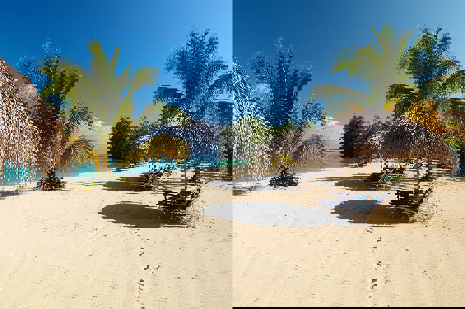 tropisk sandstrand med parasoll och palmer