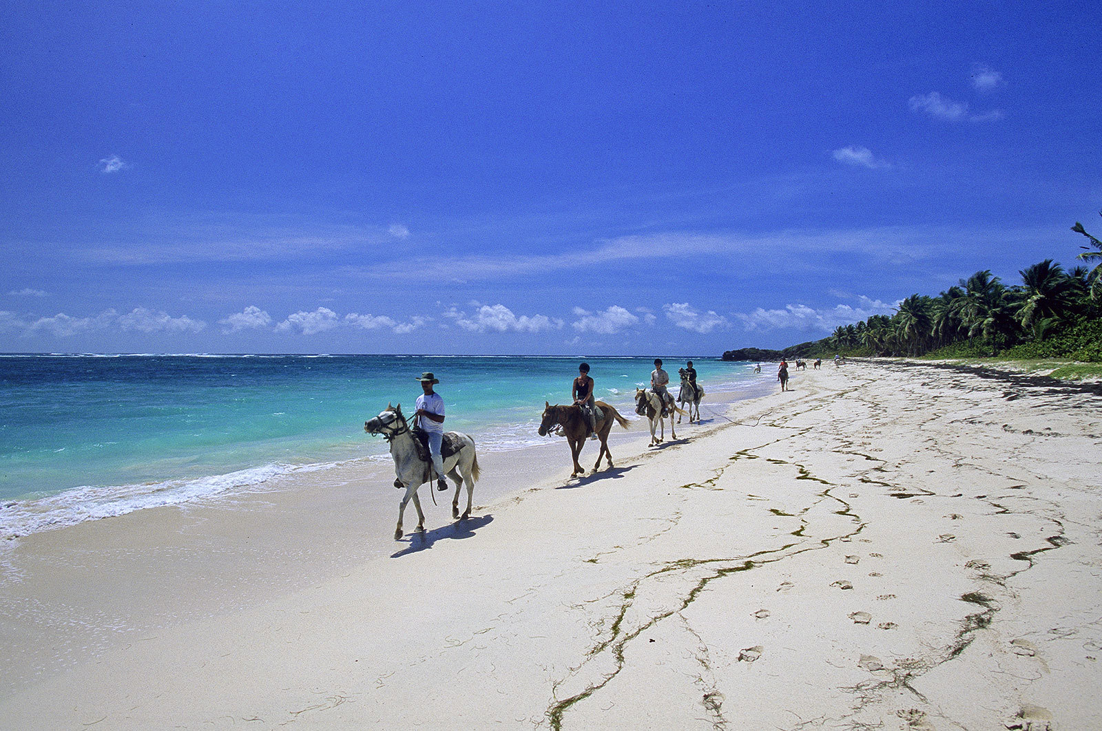 Vit sandstrand med ryttare