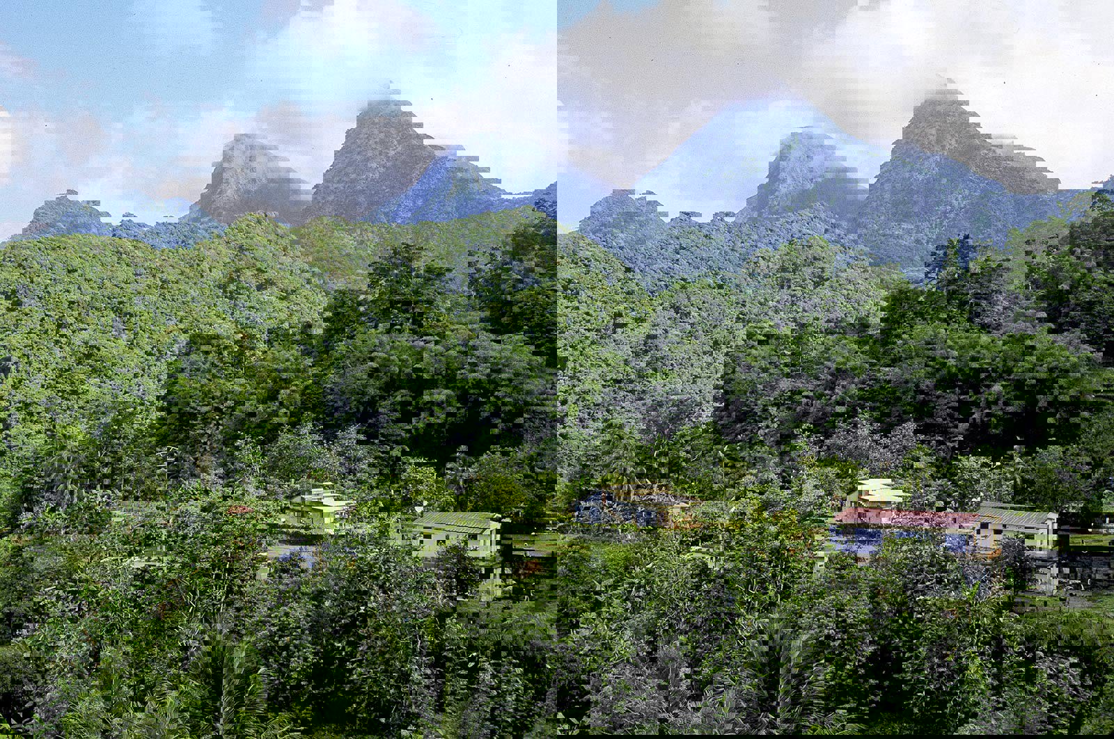 Tropisk vegetation framför gröna bergstoppar