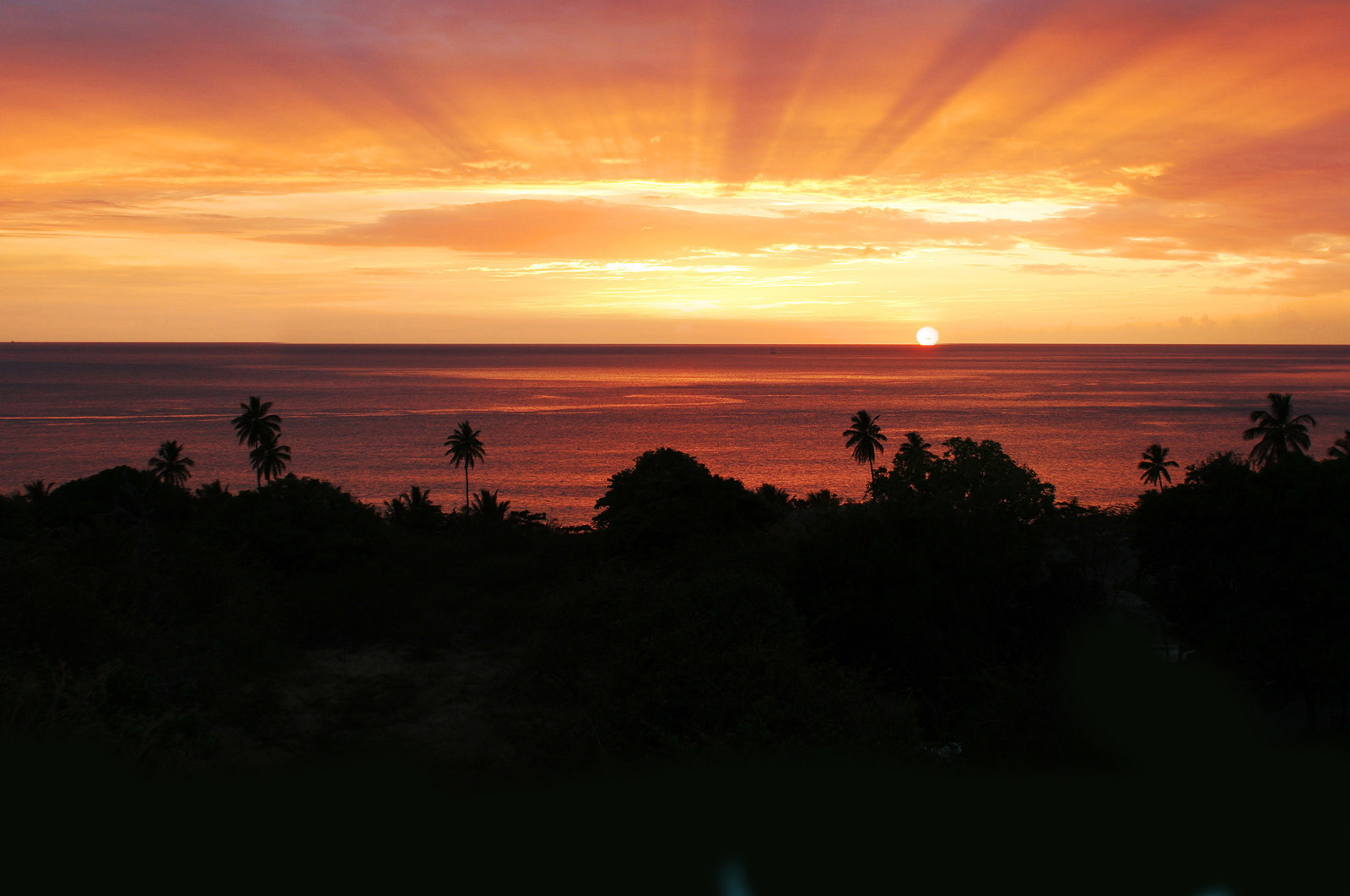 Solnedgång med orange himmel