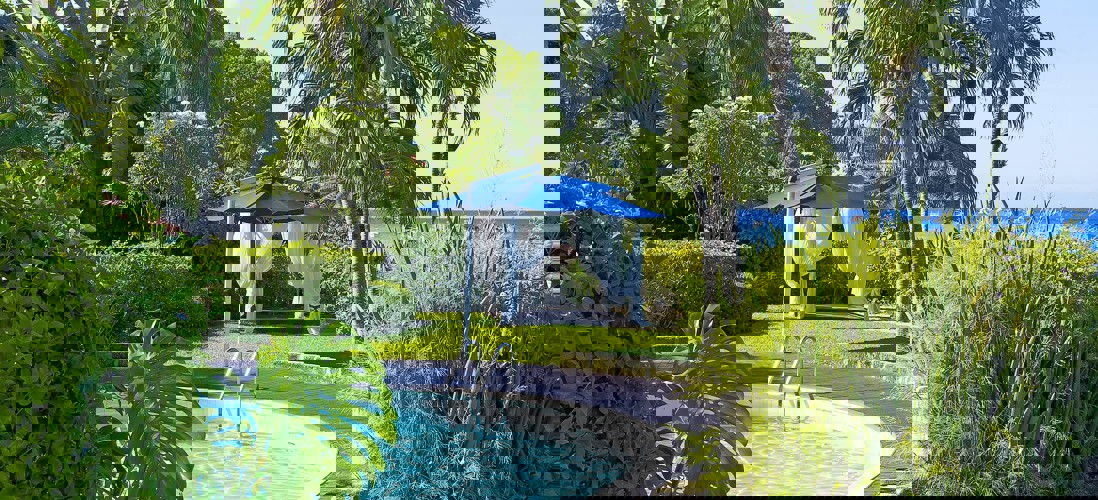 The House
