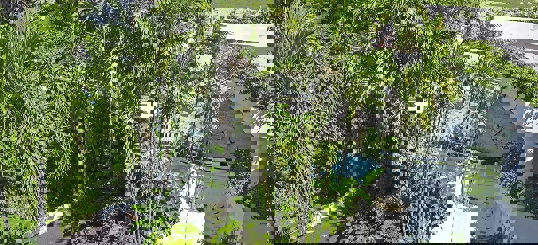 The House