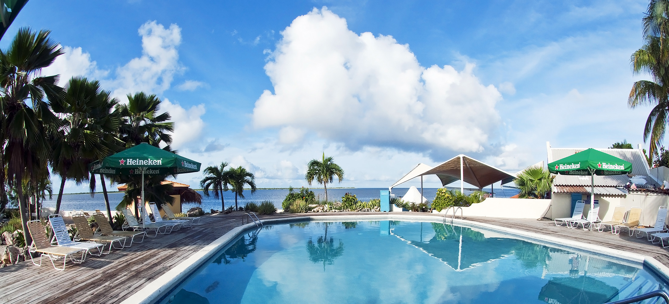 Captain Don’s Habitat