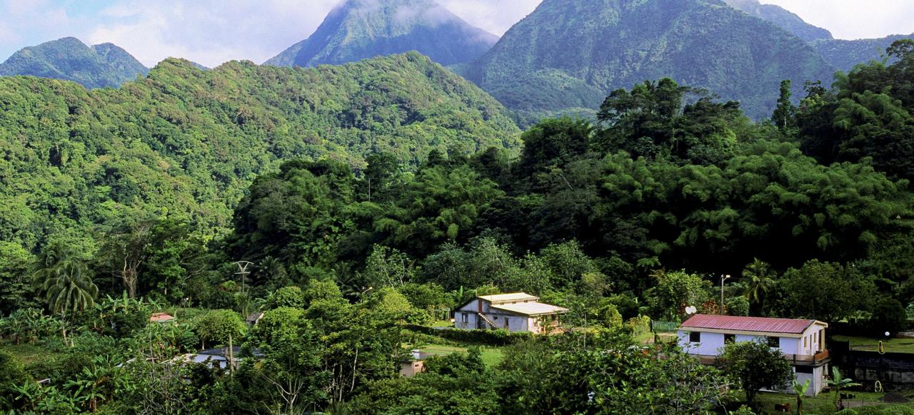 Resor Till Martinique Vastindienspecialisten Resor Till Martinique Vastindienspecialisten